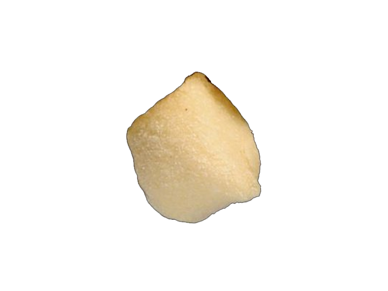 Gnocchi-Barone d.o.o.